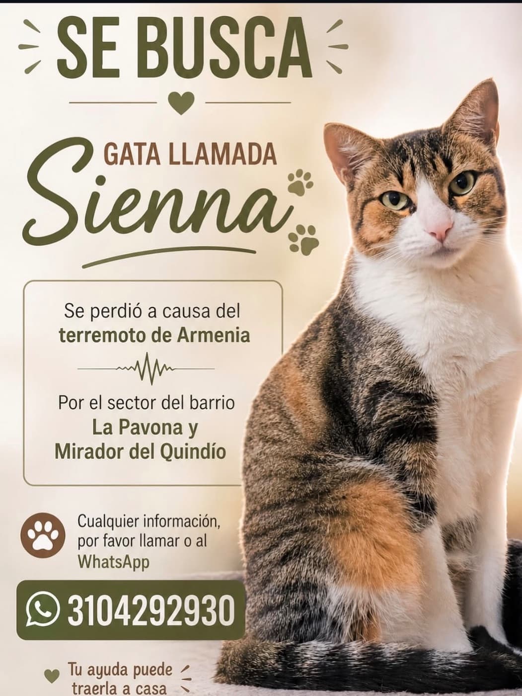 Foto de Sienna