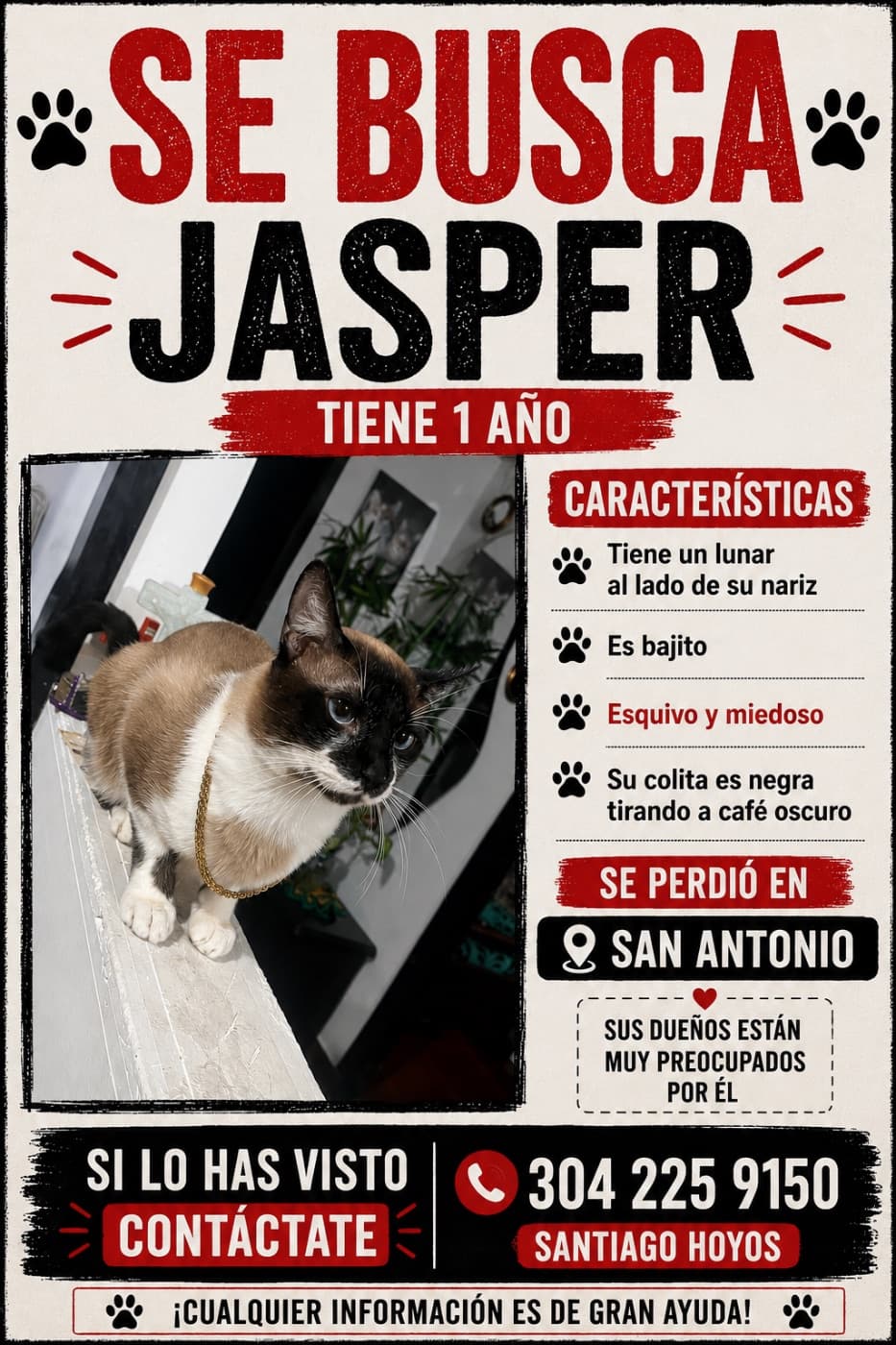 Foto de Jasper