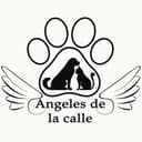 Logo de Ángeles de la Calle Manizales