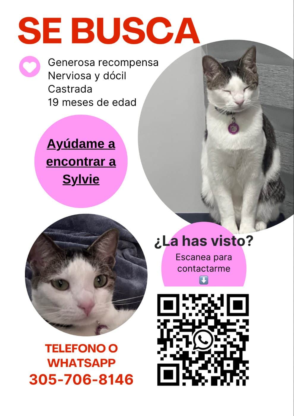 Foto de Sylvie
