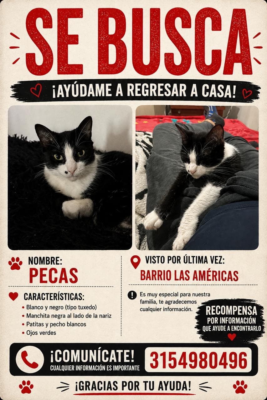 Foto de Pecas