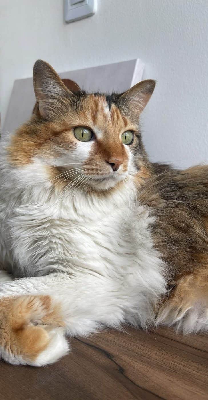 Foto de Marie