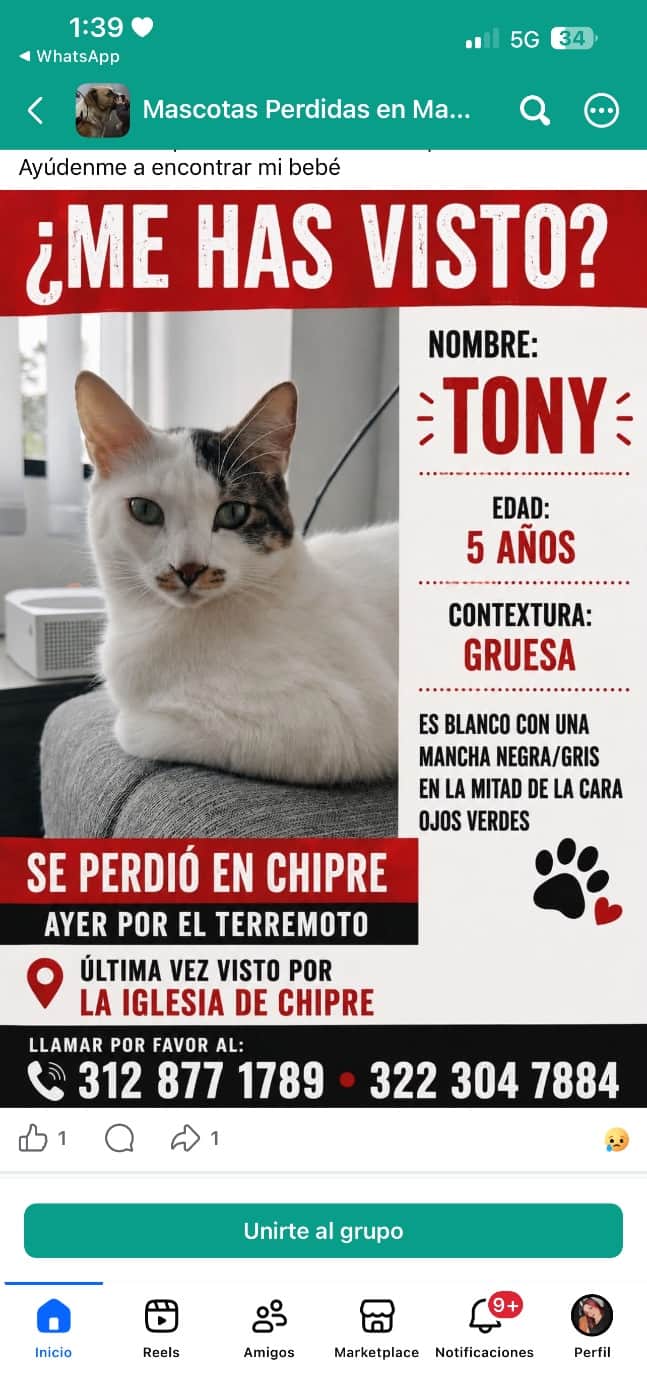 Foto de Tony