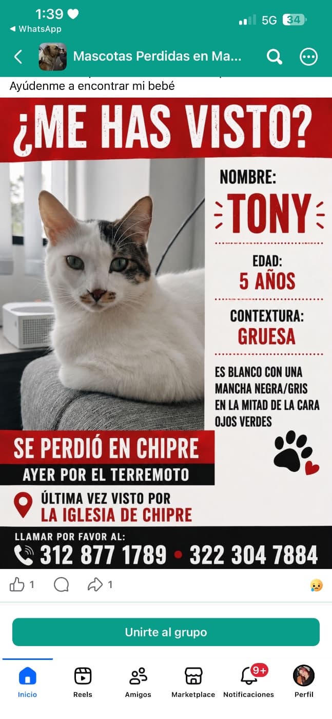 Foto de Tony