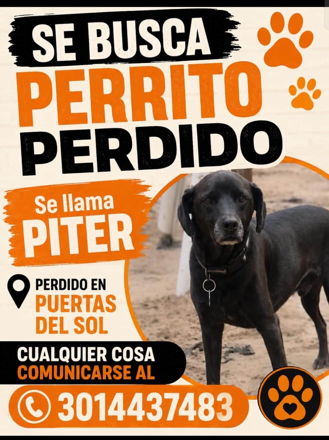 Foto de Piter