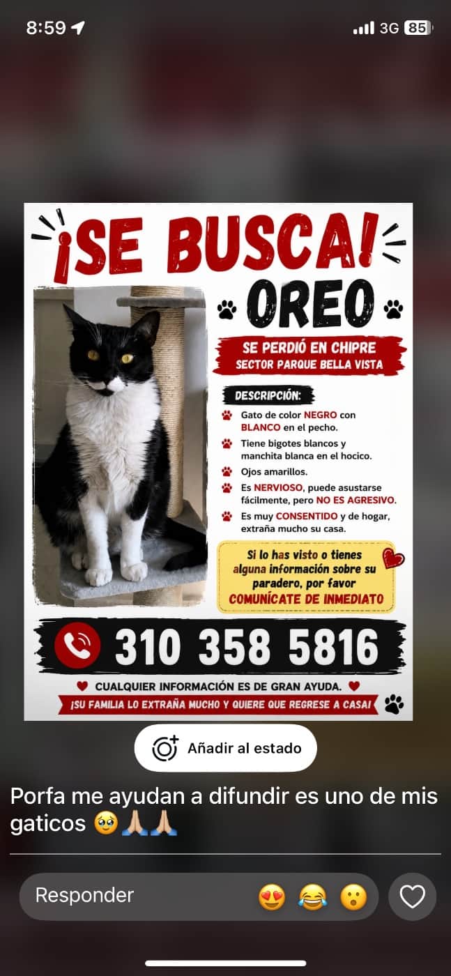 Foto de Oreo