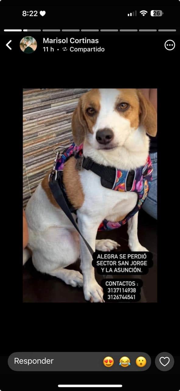 Foto de Alegra
