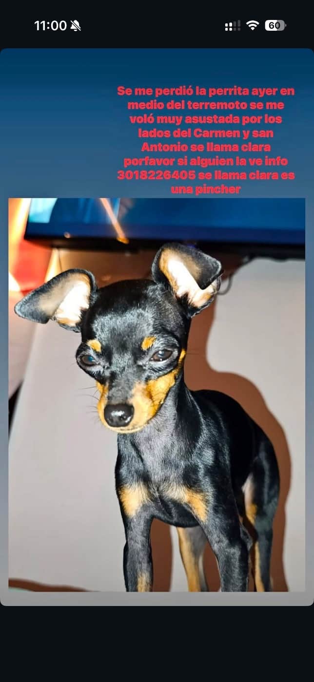 Foto de Clara