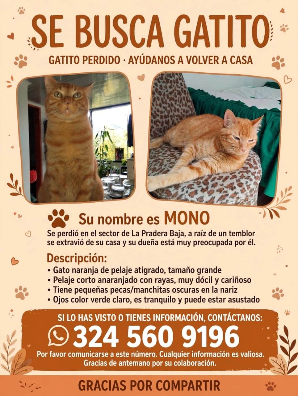 Foto de Mono