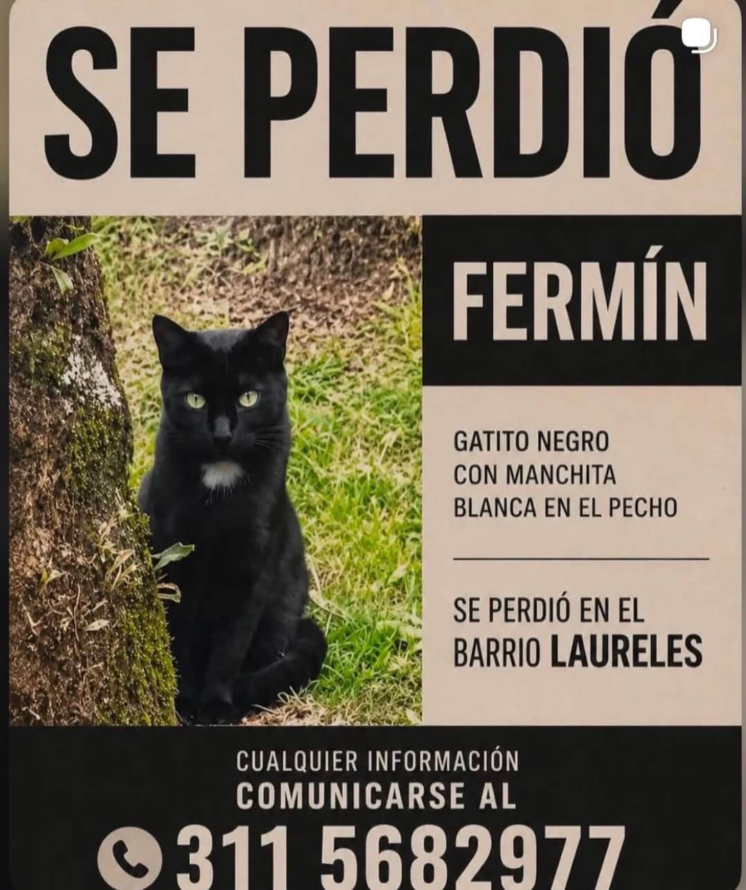 Foto de Fermín
