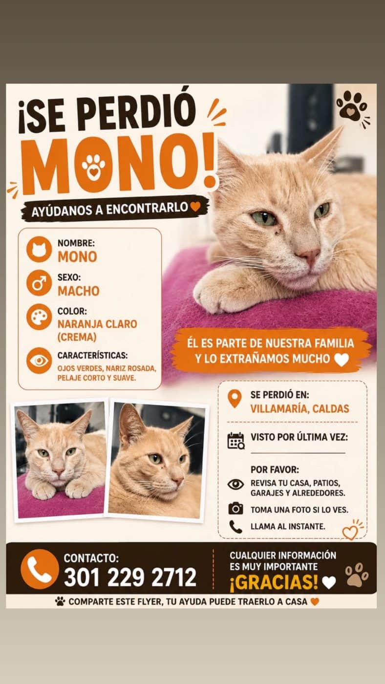 Foto de Mono