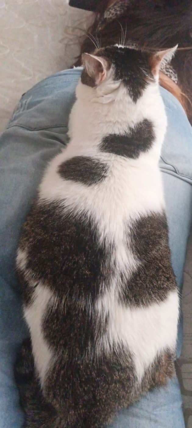 Foto de Lulú