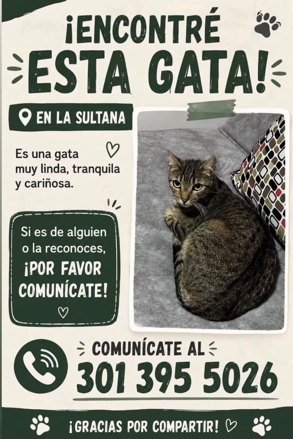 Foto de la mascota