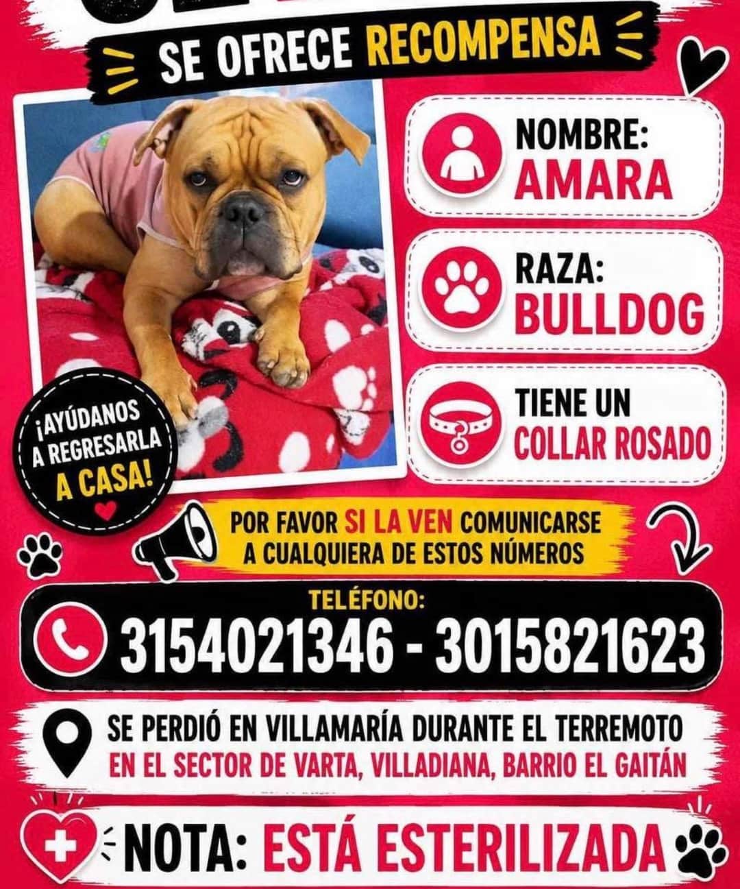 Foto de Amara