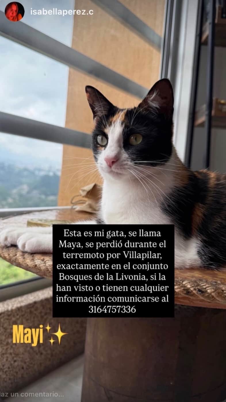 Foto de Maya