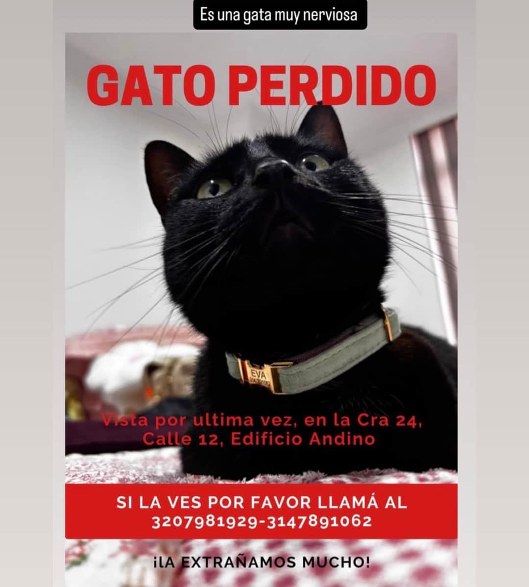 Foto de Eva