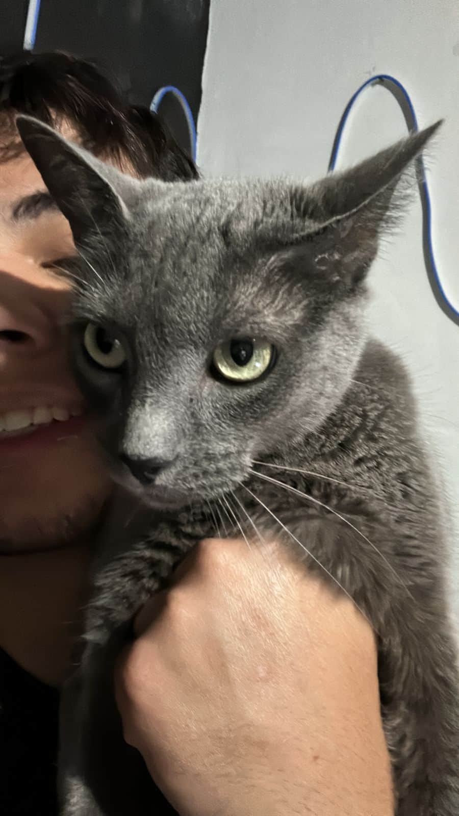 Foto de Gomita