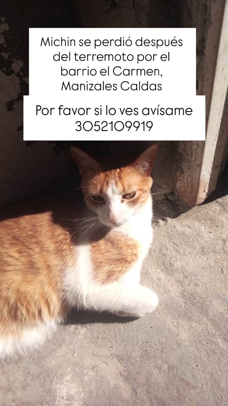 Foto de Michin