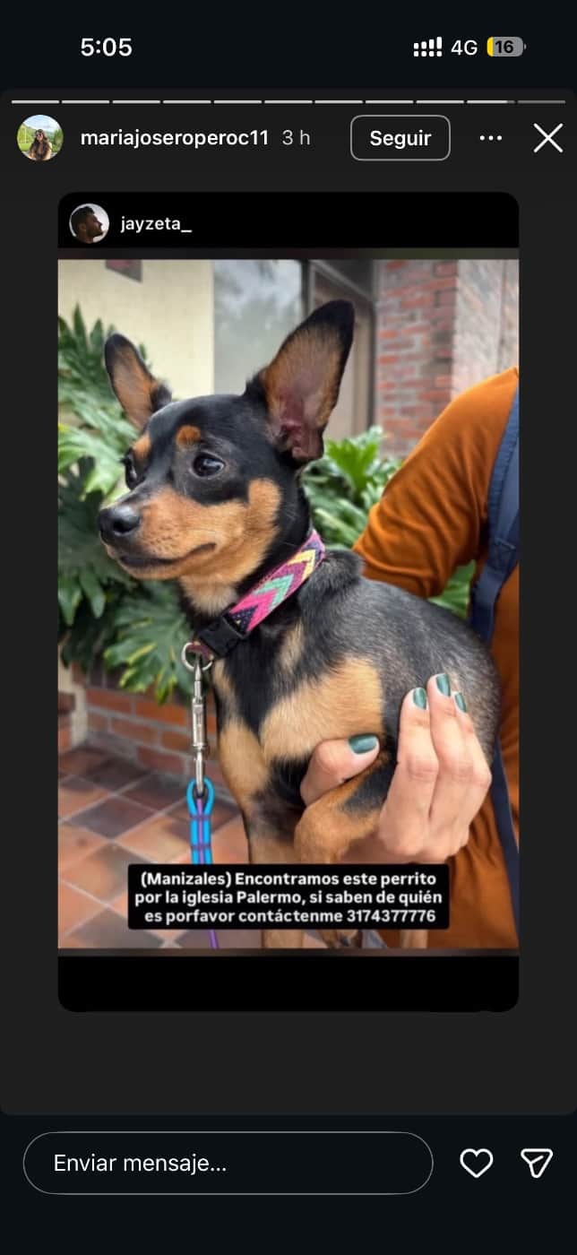 Foto de la mascota