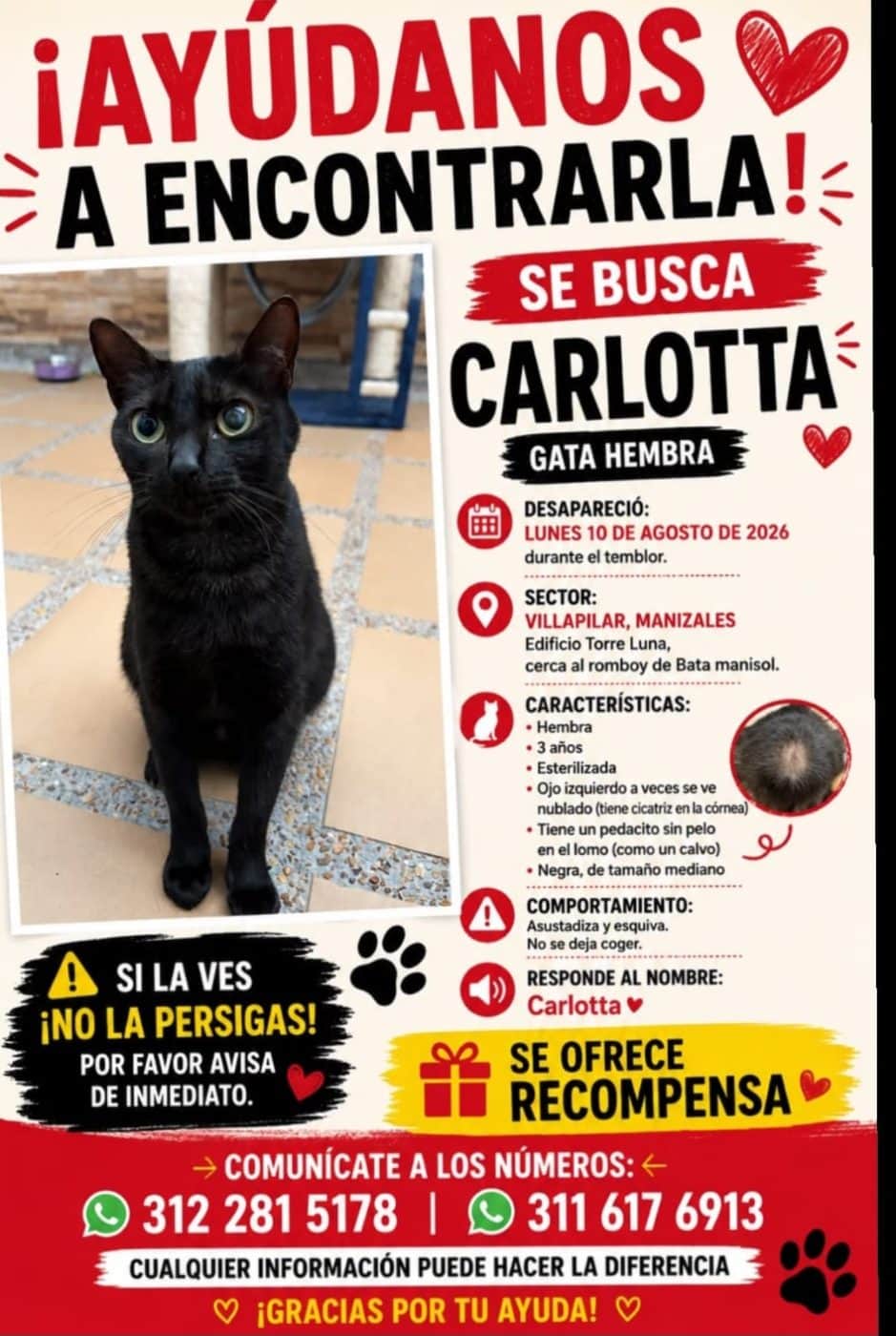 Foto de Carlotta