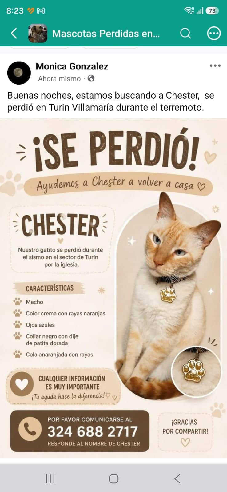 Foto de Chester