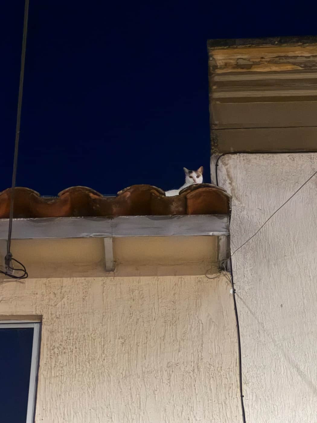Foto de Posiblemente Kira