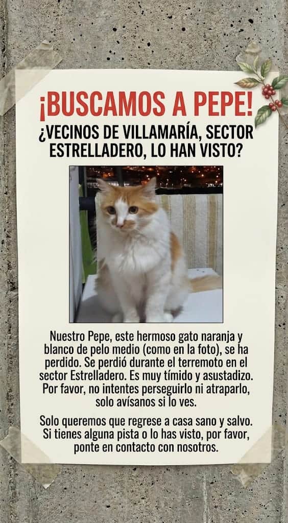 Foto de Pepe
