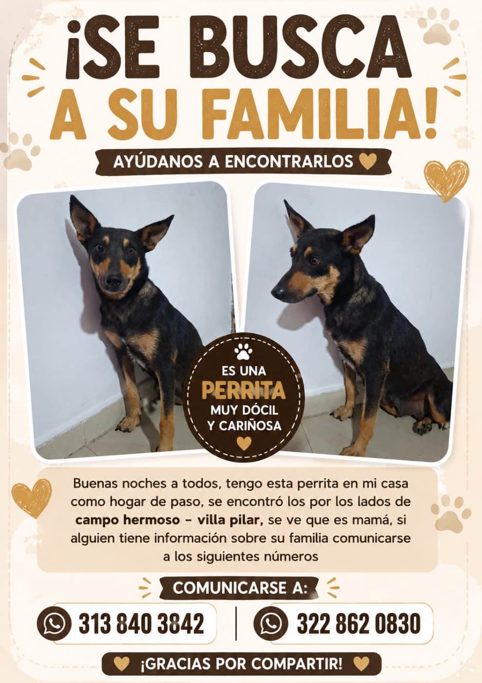 Foto de la mascota