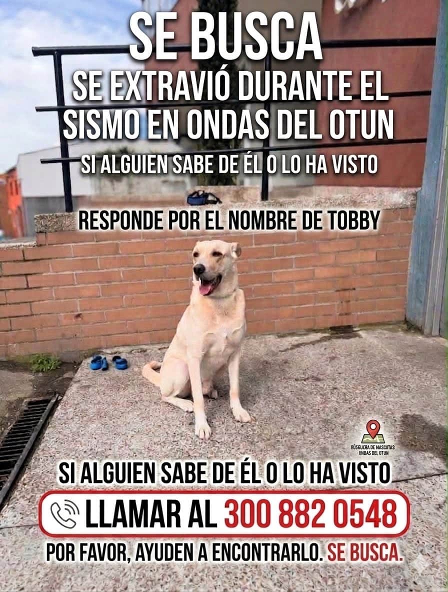 Foto de Tobby