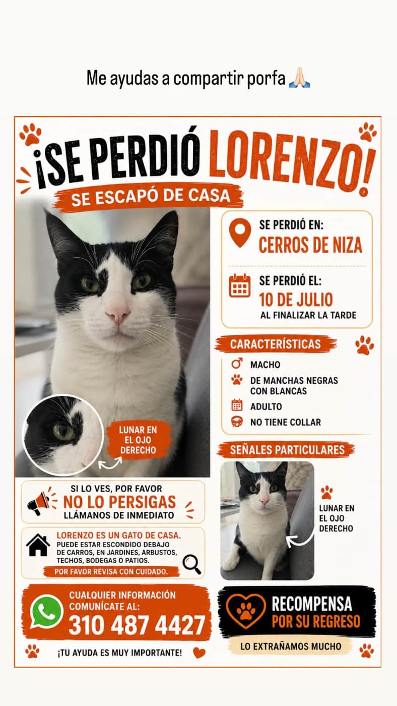 Foto de Lorenzo