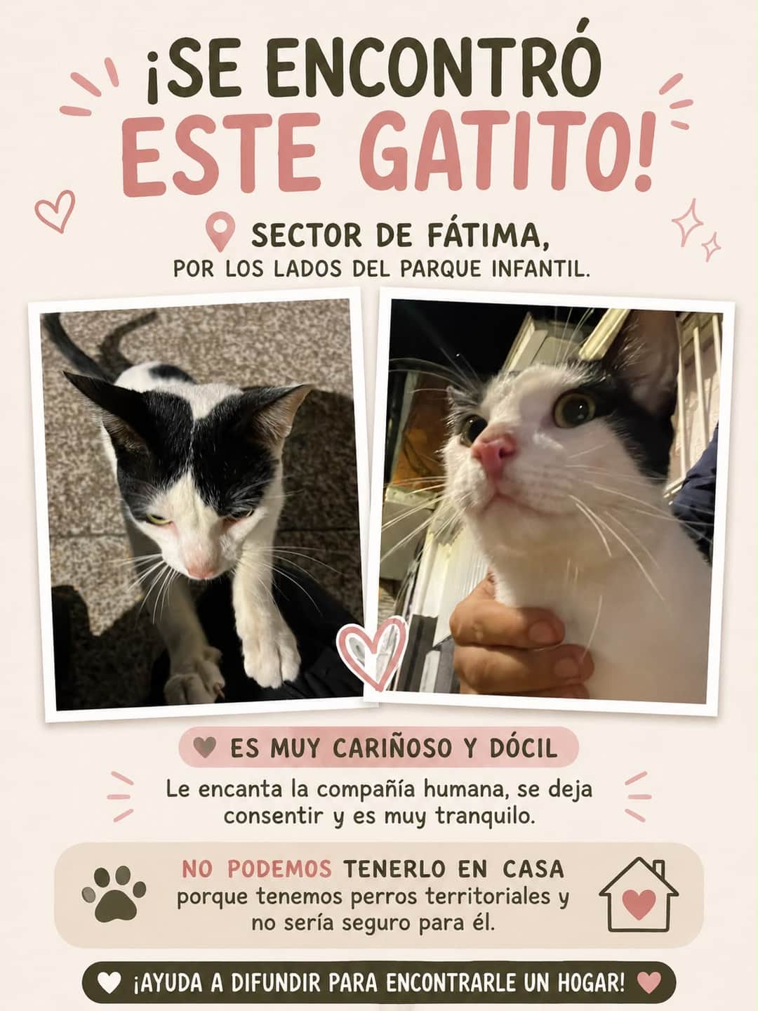 Foto de la mascota