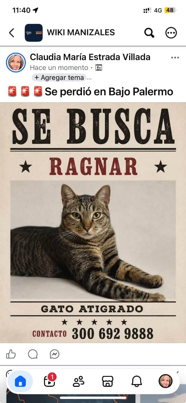 Foto de RAGNAR