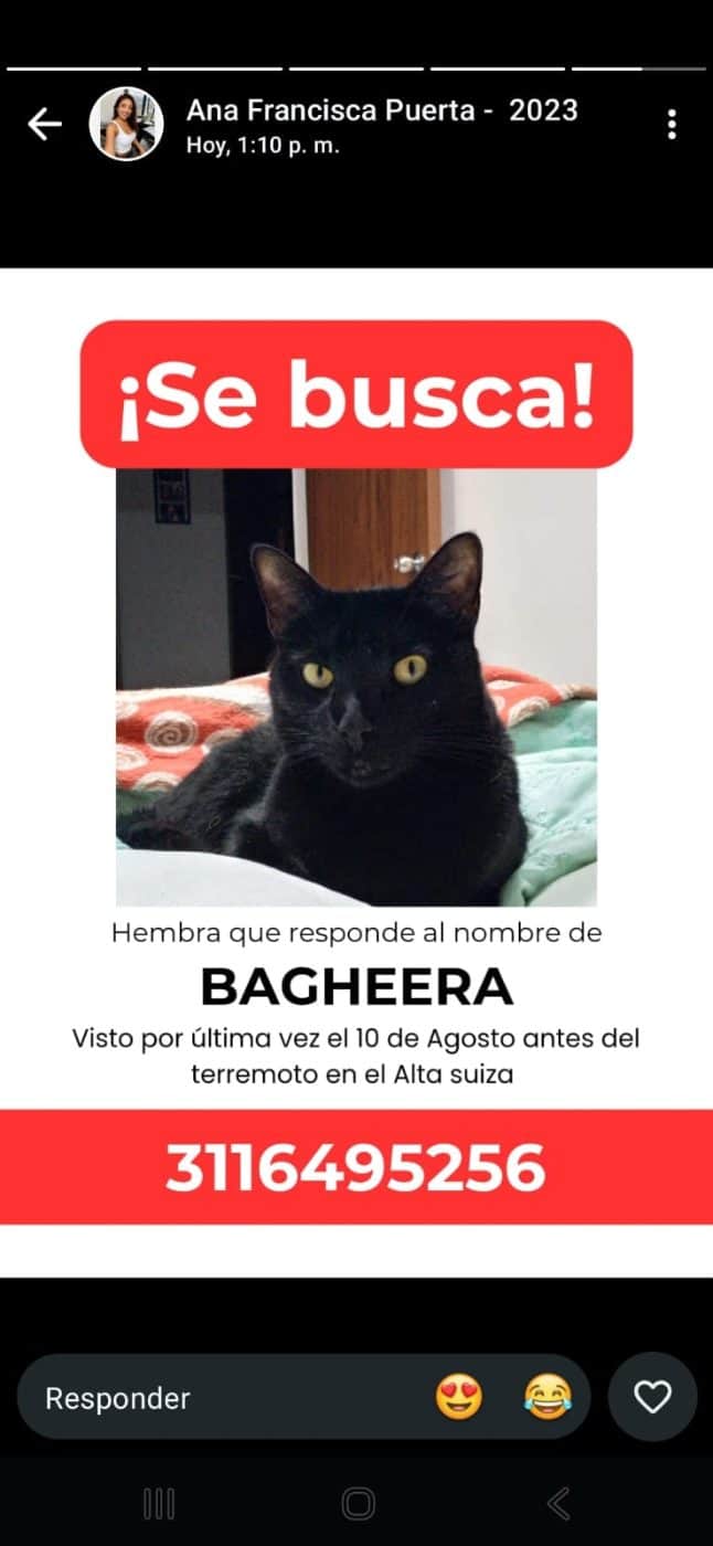 Foto de Bagheera