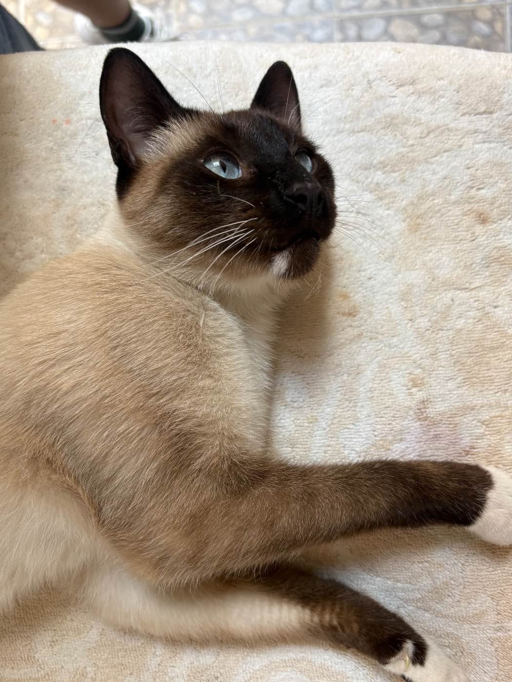 Foto de Desconocido