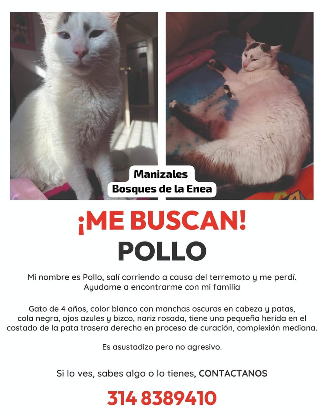 Foto de Pollo