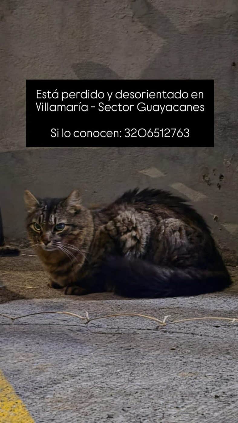 Foto de no tiene placa