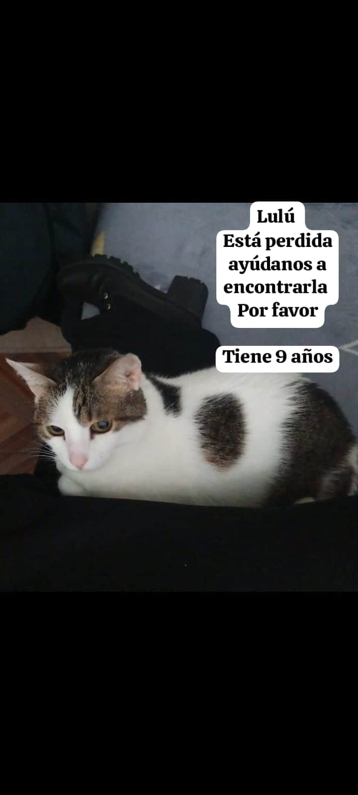 Foto de Lulú