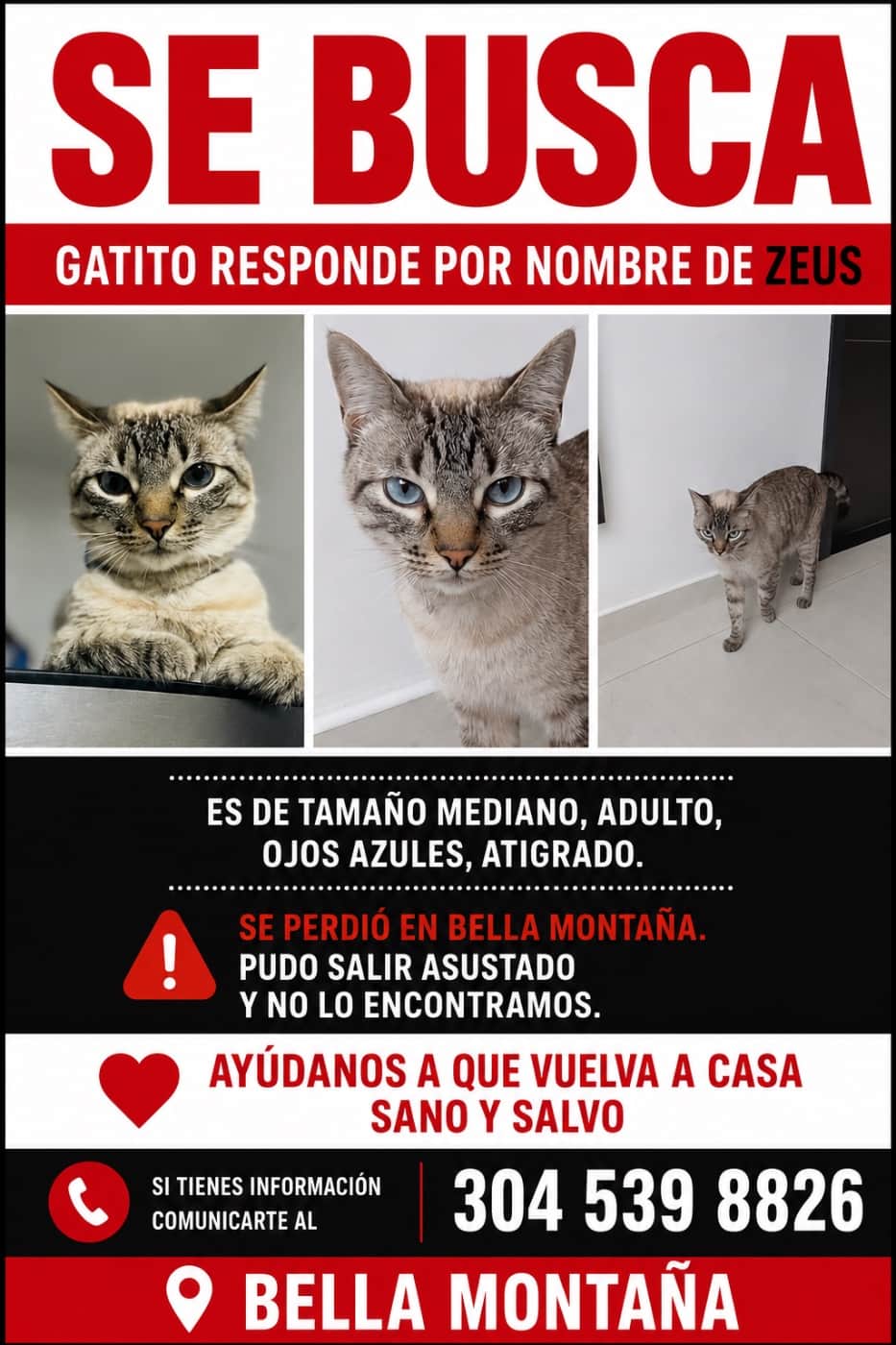 Foto de Zeus