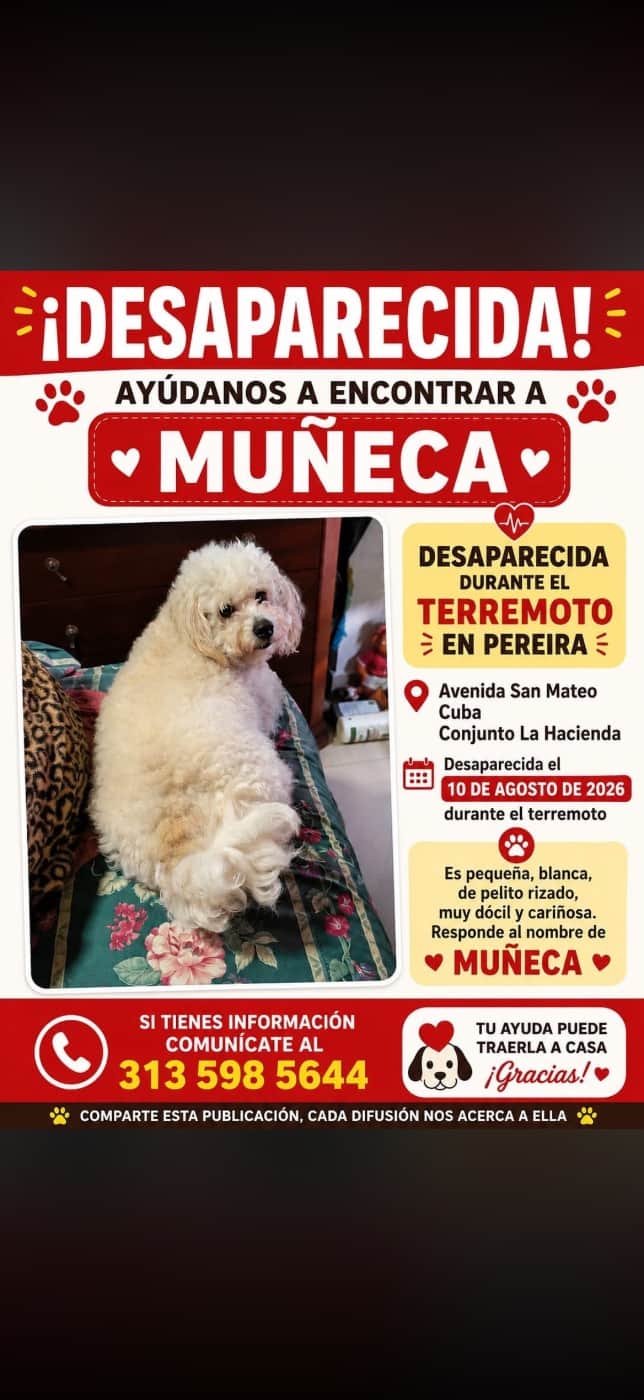 Foto de Muñeca