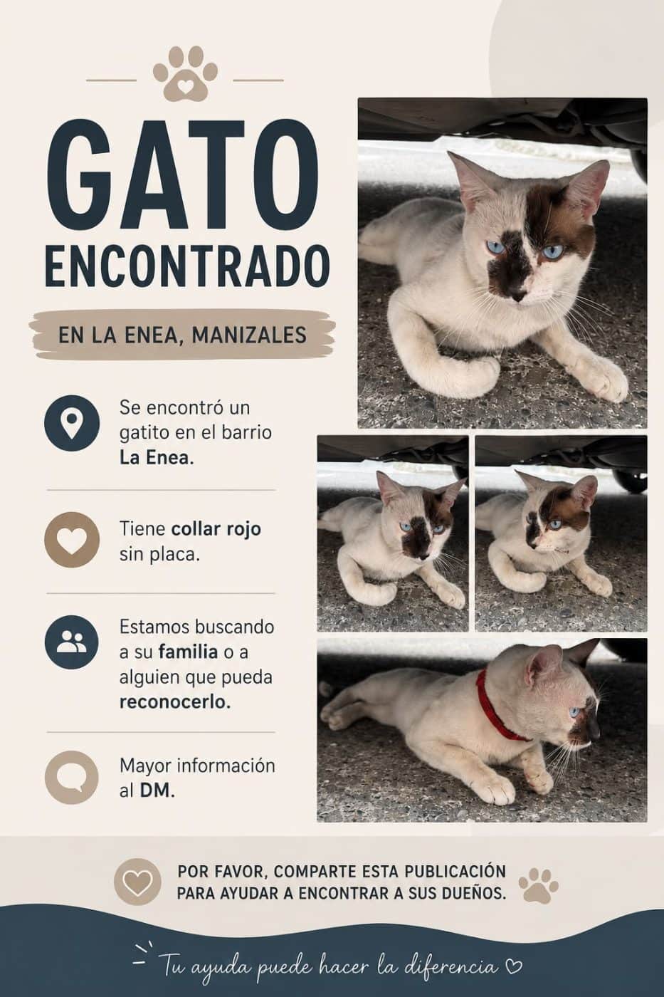 Foto de la mascota