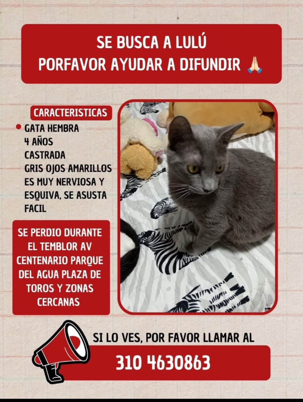 Foto de Lulu