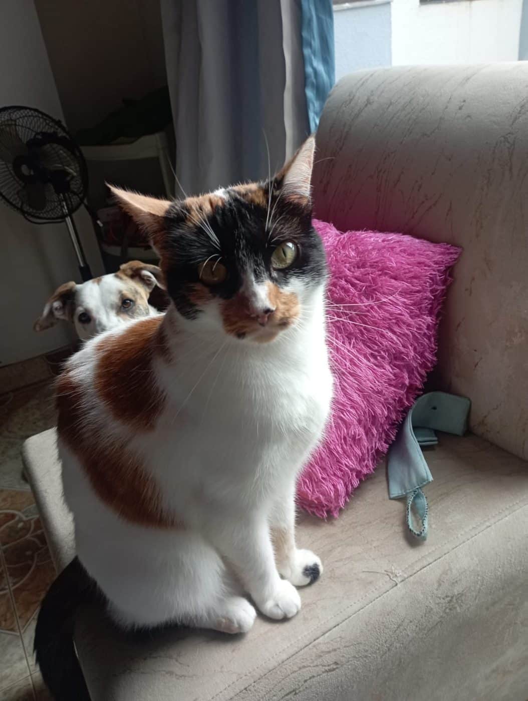 Foto de Fiona