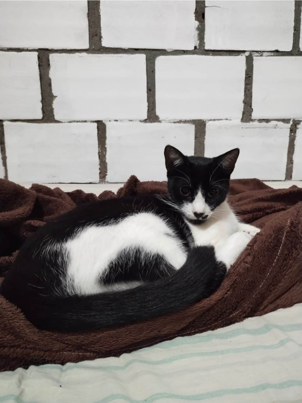 Foto de Lilith