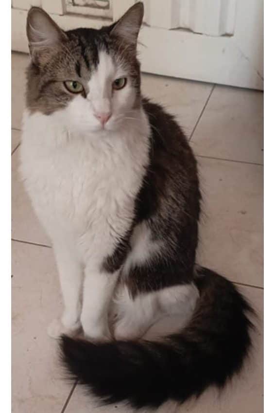 Foto de Adolf
