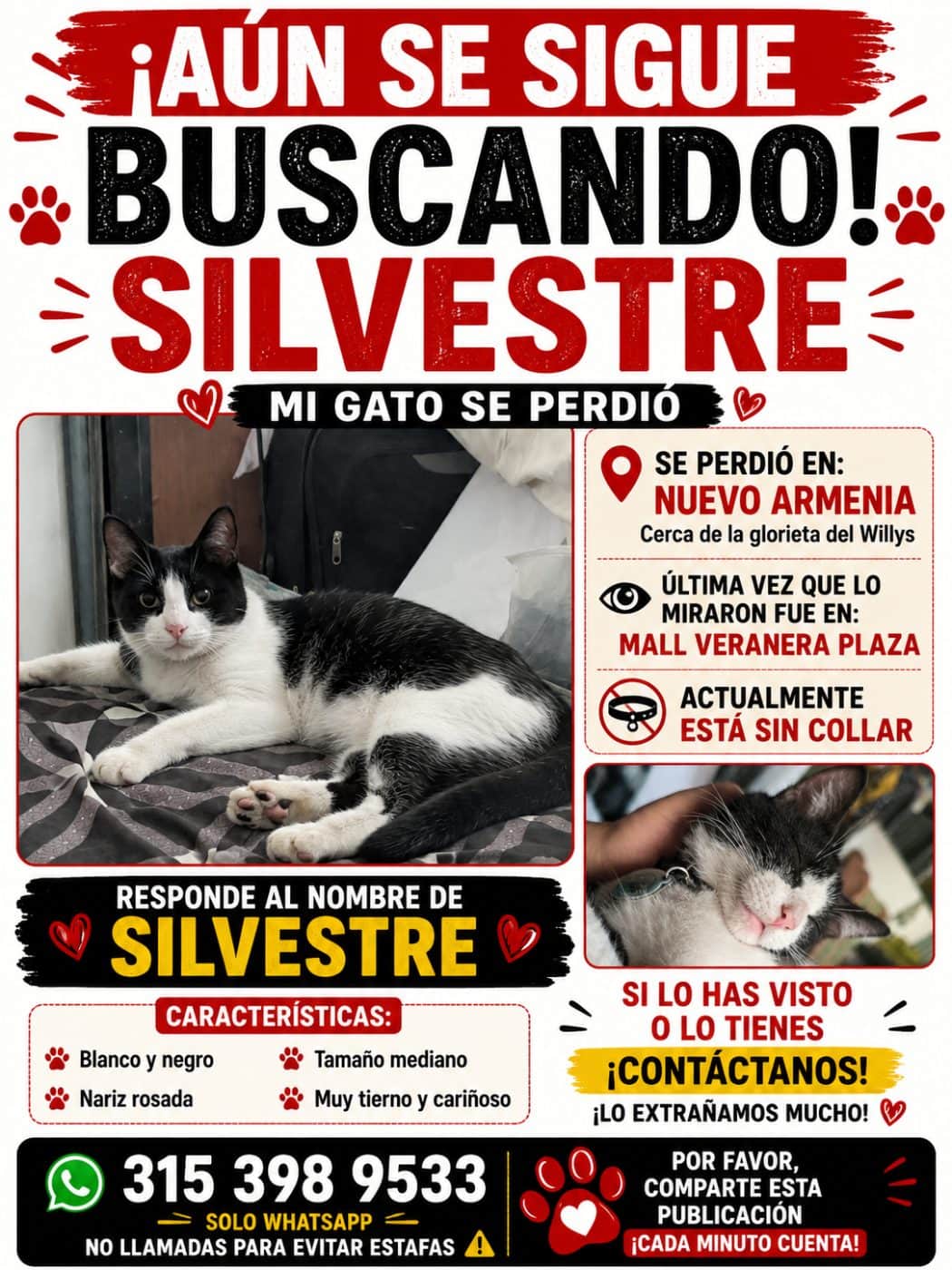 Foto de Silvestre