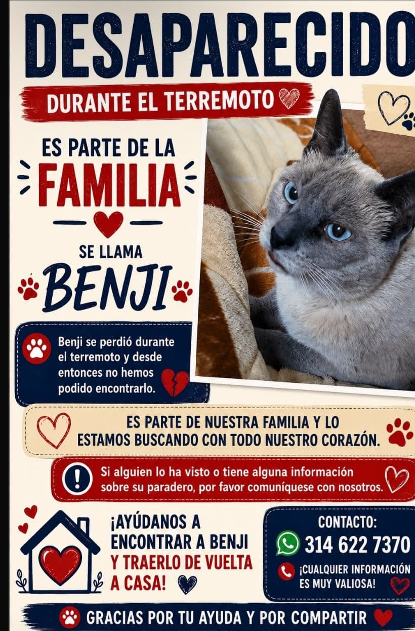 Foto de Benji