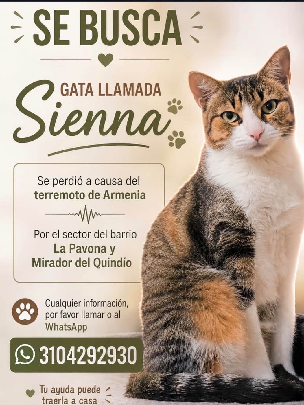 Foto de Sienna