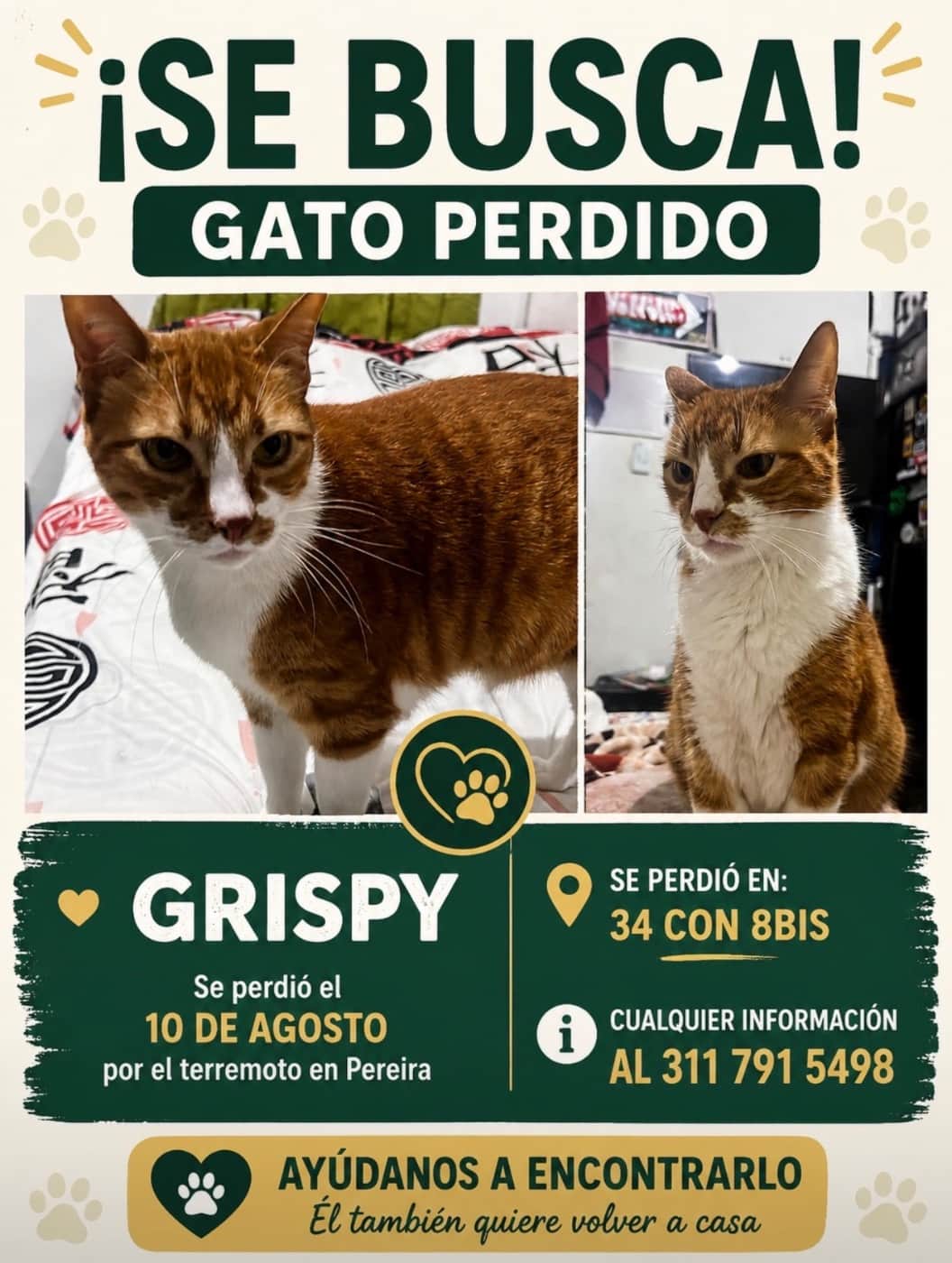 Foto de Grispy