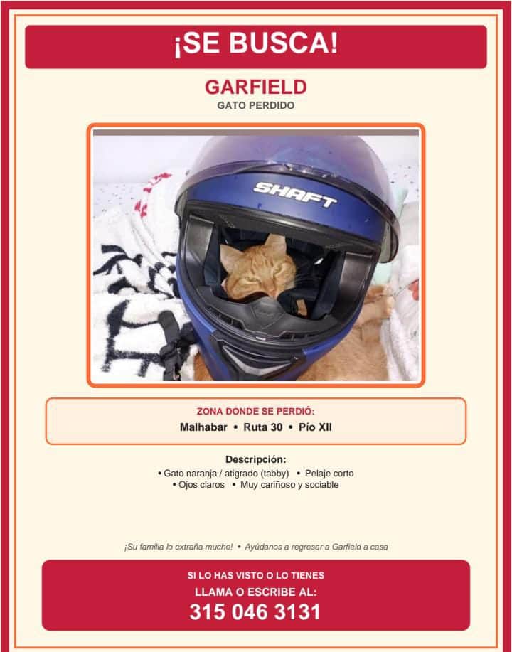 Foto de Garfield
