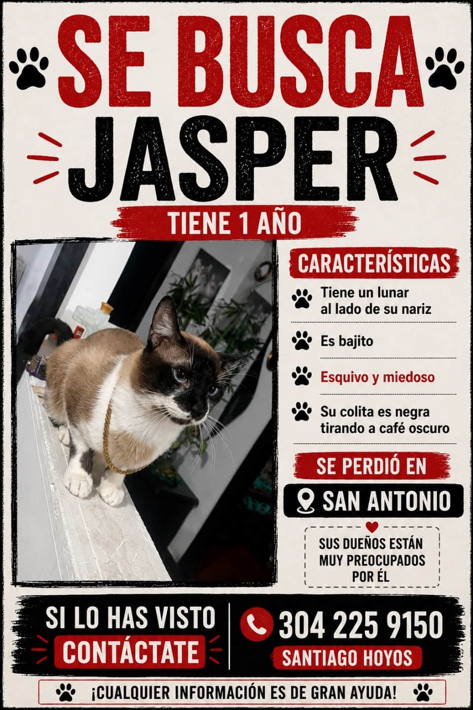 Foto de Jasper